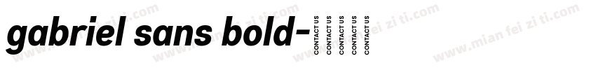 gabriel sans bold字体转换